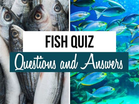 quiz questions on fish.
